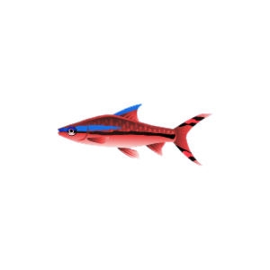 Red Denison Barb